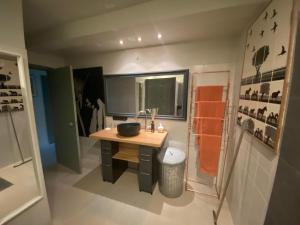 a small bathroom with a sink and a mirror at Ingeborgh Art Gastenverblijf in Grootschermer