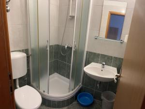 een badkamer met een douche, een toilet en een wastafel bij Rooms with shared kitchen "Milica" in Drvenik