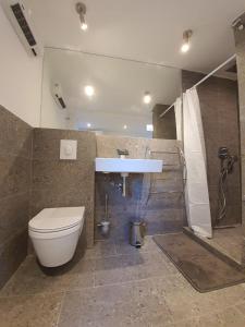 a bathroom with a toilet and a sink at Nice 2 bedroom apartment near city center in Rijeka