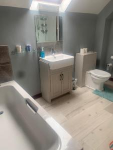 łazienka z białą umywalką i toaletą w obiekcie Heathergate Cottage Dartmoor BnB w mieście Lydford