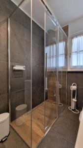 カンピテッロ・ディ・ファッサにあるAppartamento Col Val di Fassa con Terrazza BAGNI RINNOVATI 2023のバスルーム(ガラス張りのシャワー、トイレ付)