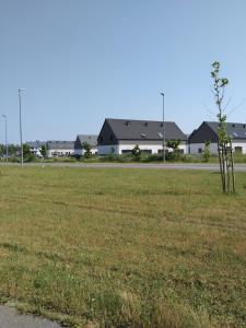 a tree in a field with houses in the background at Apartament Nowy Władek 2 in Władysławowo