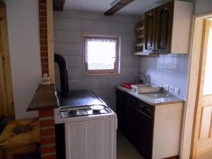 uma pequena cozinha com um fogão e um lavatório em Koča na planini Jelje - Pokljuka em Goreljek