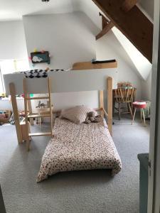 a bedroom with a bunk bed with a cat sleeping on it at Charming Grade 2 listed building in Wiltshire in Melksham