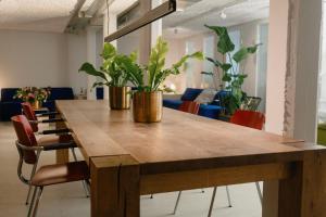 a table with two potted plants on top of it at Hostel het Archief in Zwolle