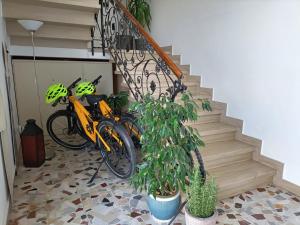 Codevigo的住宿－巴拉布斯卡客房旅館，两辆自行车停在一个种植了植物的楼梯旁边