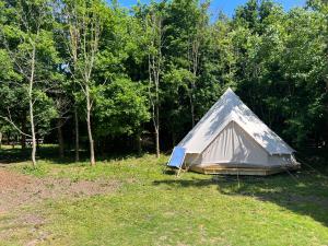 een tent in het gras in een veld bij Nature's Spectacular in Chew Stoke