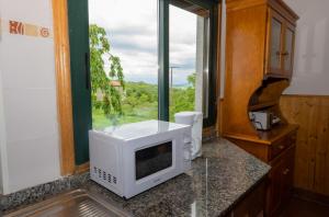 un four micro-ondes sur un comptoir dans une cuisine avec une fenêtre dans l'établissement Refugio do Sil, Magia y Encanto en la Ribera Sacra, 