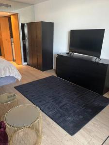 a bedroom with a bed and a flat screen tv at Studio im Herzen von Monte Carlo in Monte Carlo