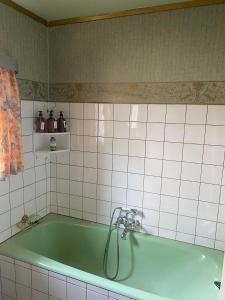 a green bath tub with a shower in a bathroom at Fantastisk havudsigt tæt på centrum in Tórshavn