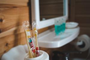 a pair of toothbrushes in a cup next to a sink at Patara cottage, Stepantsminda, Achkhoti, in Stepantsminda