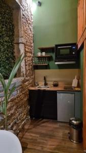 a kitchen with a sink and a microwave at Tropic Love Room in Lyon
