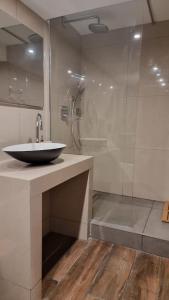a bathroom with a sink and a shower at Tropic Love Room in Lyon