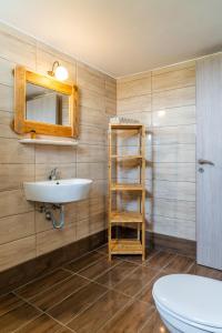 a bathroom with a sink and a shelf and a toilet at Eleftheria Studios in Antiparos