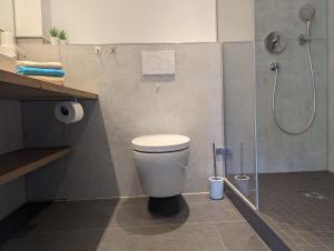 La salle de bains est pourvue d'une douche et de toilettes. dans l'établissement Apartments Fischerklause am Bodensee, à Wasserburg