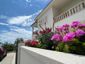 Gallery image of Camadra Villa in Makarska