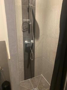 W łazience znajduje się prysznic ze szklanymi drzwiami. w obiekcie Jolie T2 bord de mer corse du sud w mieście Conca