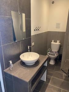 łazienka z umywalką i toaletą w obiekcie Jolie T2 bord de mer corse du sud w mieście Conca