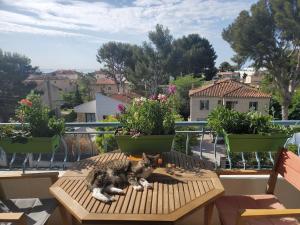 a cat laying on a wooden table on a balcony at Lou beach home 75 m2 à 300 m de la plage avec vue mer in La Ciotat