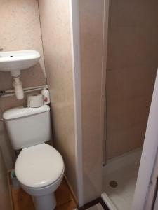 a bathroom with a toilet and a sink and a shower at Stara Kuźnia in Sosnówka