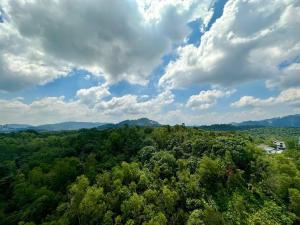 una vista aérea de un bosque de árboles bajo un cielo nublado en Green-Scenery Suburban by Irdina's Homestay, en Kampong Perimbun