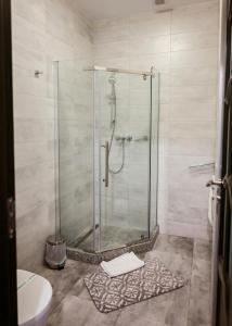 a shower in a bathroom with a glass shower stall at Casa Isabela in Putna