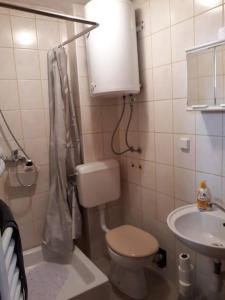 un piccolo bagno con servizi igienici e lavandino di Apartman Slavonija 2 a Osijek