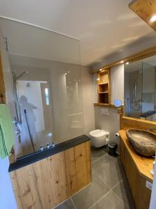 een badkamer met een wastafel, een douche en een toilet bij Gästehaus Wüpping 1 in Salem