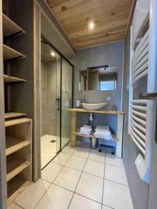 La salle de bains est pourvue d'un lavabo, d'une douche et de toilettes. dans l'établissement Le sciezois, à Sciez