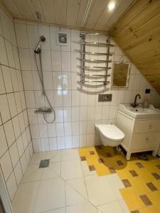 a bathroom with a shower and a toilet and a sink at Stebuklas coliving in Vilnius