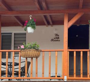 ganek domu z koszem kwiatów w obiekcie The iNk Rooms w mieście Ocna Mureş