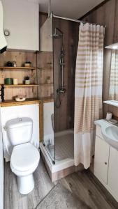 y baño con ducha, aseo y lavamanos. en Domaine Vents Du Sud, en Vingrau