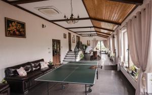 a living room with a ping pong table in it at Casa Isabela in Putna