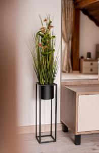 a black vase with a plant in it next to a mirror at Casa Isabela in Putna