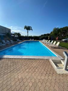 a swimming pool with lounge chairs and a palm tree at Appartamento MaRi con piscina in Torre Lapillo