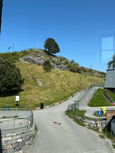 un camino sinuoso en la cima de una colina en Leilighet i Ålesund., en Ålesund
