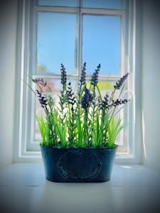 a blue pot with purple flowers in front of a window at The Maltsters Country Inn in Badby