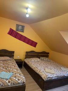 Fotografie z fotogalerie ubytování Pensiunea Iza v destinaci Bradu