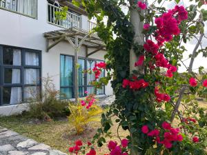 una casa con flores rosas delante de ella en COCO MANGO Villa en Trèfles