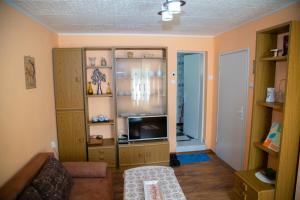 TV a/nebo společenská místnost v ubytování Holiday Home Milkovci