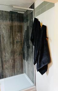 a bathroom with a shower with a glass shower stall at Nightingale Cottage in Llantwit Major +7 photos