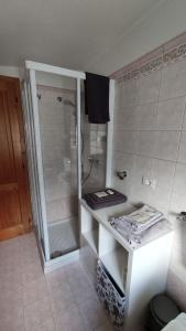 a bathroom with a shower and a counter with a sink at Mansarda dell'orso in Falcade