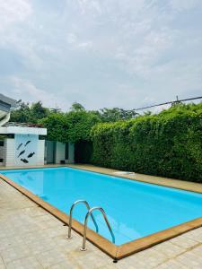 a large blue swimming pool with green hedge at PJ Guest House in Chiang Rai