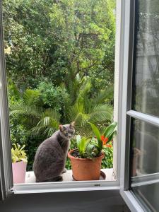 Фотография из галереи Villa Bourgoise chez Perette à 7 mn en voiture de la croisette в Каннах