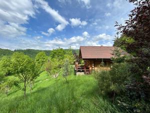 a log cabin in the middle of a field with trees at Căsuța din pădure in Piatra Neamţ