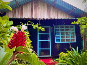 a blue house with a red flower in front of it at Flor de la selva in Puerto Nariño