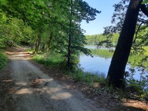 a dirt road next to a lake with trees at U Anny in Wałcz