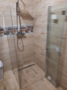 eine Dusche mit Glastür im Bad in der Unterkunft U Anny in Wałcz