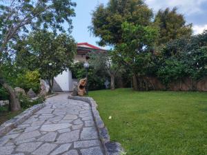 a dog sitting on a stone walkway in a yard at Sole&Luna in San Teodoro