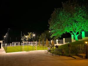 a park at night with a tree and benches at Bigala Ocnele Mari in Ocnele Mari